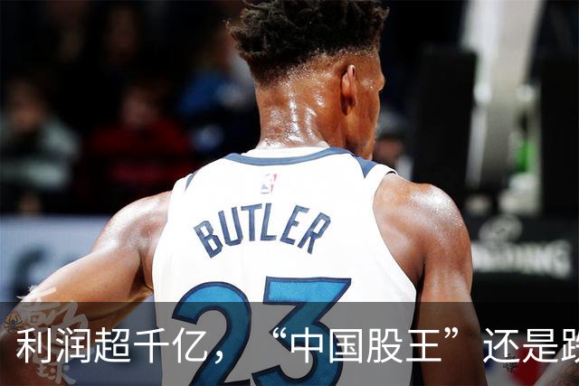 利润超千亿，“中国股王”还是跌疼了股民