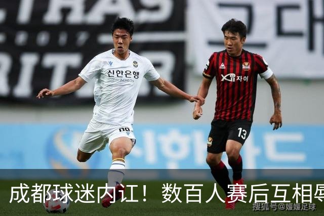 成都球迷内讧！数百人赛后互相辱骂 男球迷接受采访：可以说脏话吗？