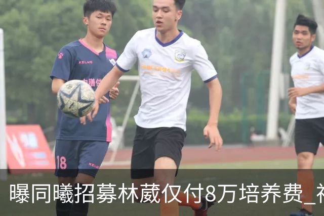 曝同曦招募林葳仅付8万培养费 神操作奠定未来