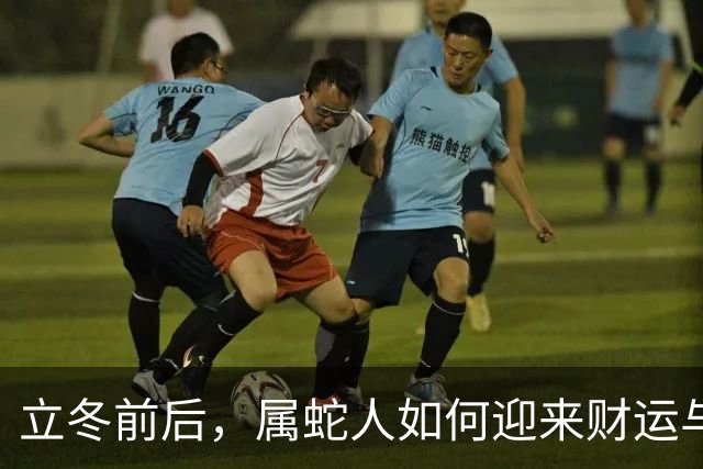 立冬前后，属蛇人如何迎来财运与人脉的双重惊喜？