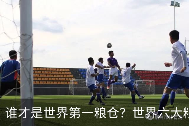 谁才是世界第一粮仓？世界六大粮食生产国，都有谁？