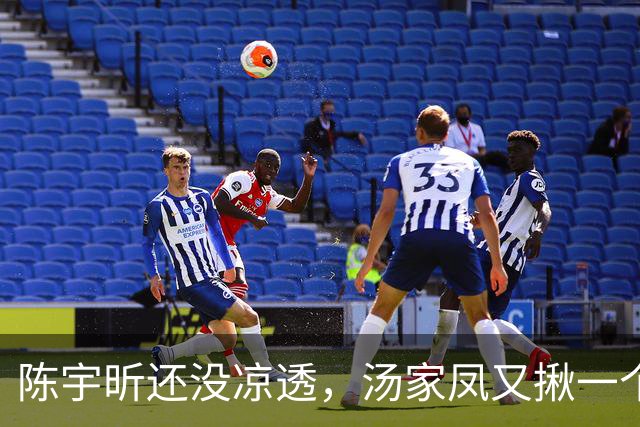 陈宇昕还没凉透，汤家凤又揪一个“精日”人员：竟然还是公司老板