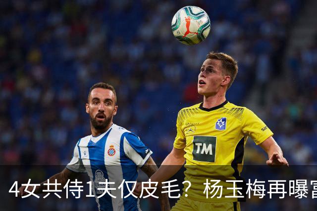 4女共侍1夫仅皮毛？杨玉梅再曝富豪圈猛料，远比你想的更炸裂
